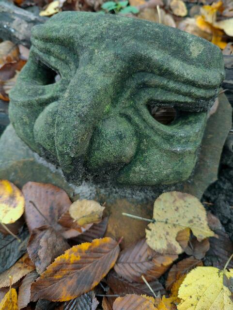 Foto: Foto: Jessica  Lingner