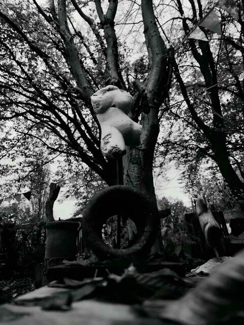 Foto: Foto: Jessica  Lingner