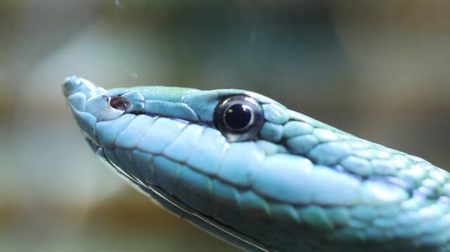 Trau auf mich......... | Foto: K.Loz