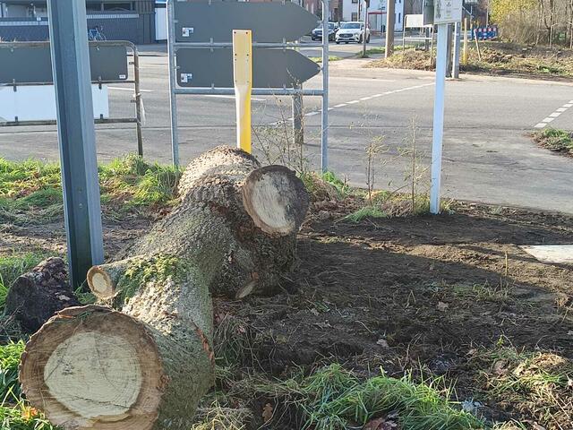 Foto: Foto: Christian Thieme 