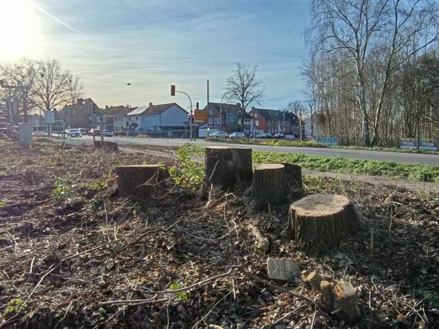 Foto: Foto: Christian Thieme 