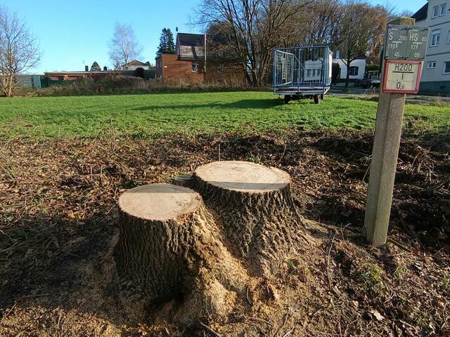 Foto: Foto: Christian Thieme 