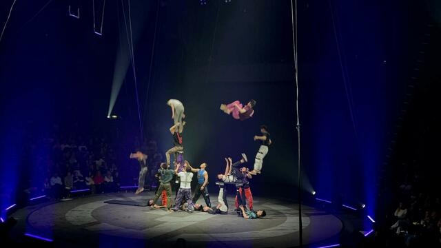 Die Shandong Acrobatic Group wirbelt ihre Körper schwungvoll durch die Luft. | Foto: Lisa Puhl