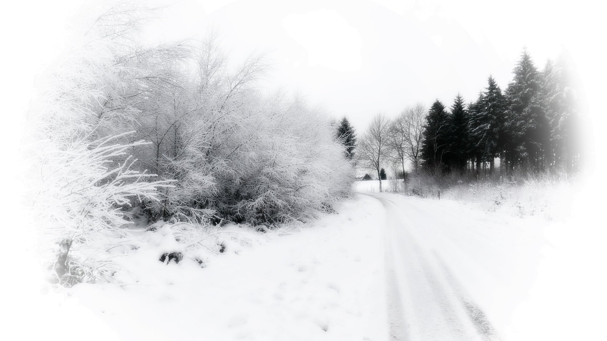  Winter: Wie wird das Wetter im Januar 2025 in Essen und Umgebung werden Motiv 
