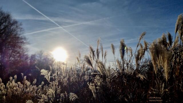 SONNE im SPÄT-Herbst 2024
Winterliches´Licht ♥