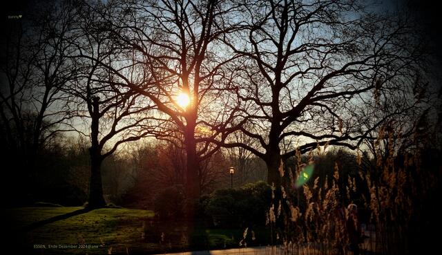 strahlend schön, auch im Winter!