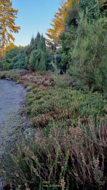Heimat und Umwelt und NATUR schützen!