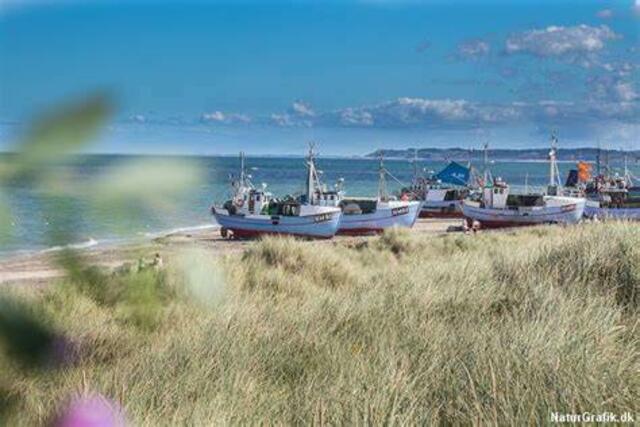 Für die Jugendlichen der Evangelischen Versöhnungsgemeinde Duisburg-Süd geht es im Sommer ins „hyggelige“ Dänemark zu einer elftägigen Freizeit. 
Foto: Thorup Strand DK