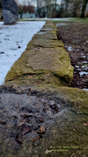 EIN BILD, ein aktuelles, aus diesem Jahr,
JANUAR 2025 :-)

@ana´