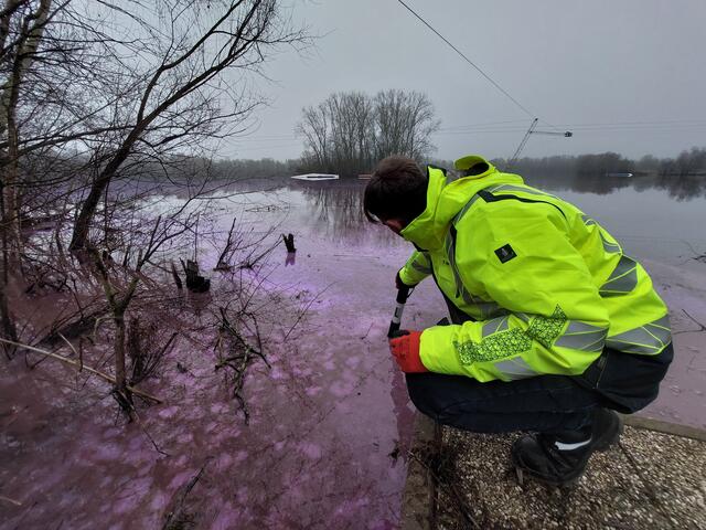 Ein WBD-Mitarbeiter stellte erneut einen Burgunderblutalgenbefall im kleinen Toeppersee in Duisburg-Rheinhausen fest.
Foto: WBD
