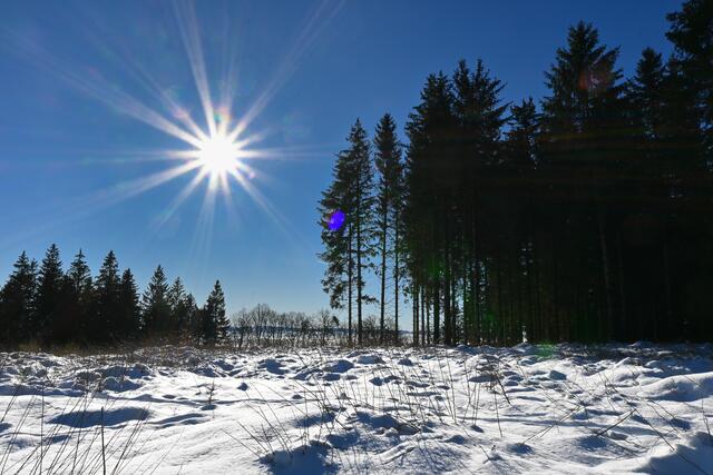 Die herrliche Sonne und der klare blaue Himmel verleiten auch zu solchen Gegenlichtaufnahmen (Blende 20 für ausgeprägte Strahlen um die Sonne)