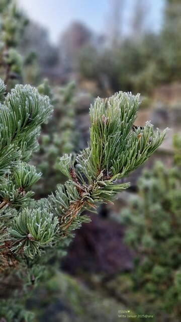 WOW ... vor dem Wasserfall :-)