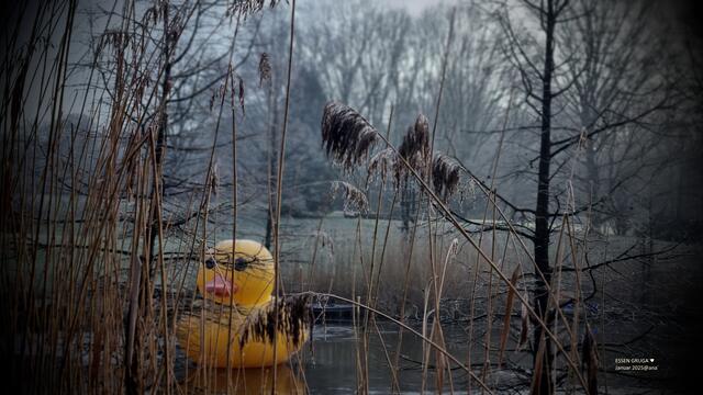 alle meine Entchen´