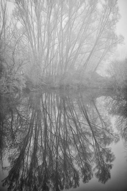 Frostige Spiegelung im Teich an der alten Ziegelei