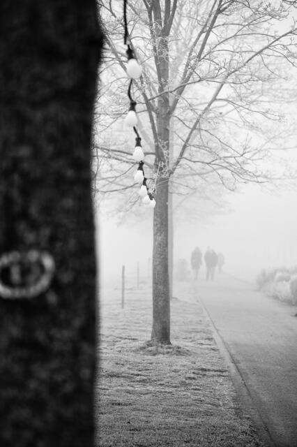 Schnell ins warme Seepark Cafe - das Frühstücksbuffet lockt