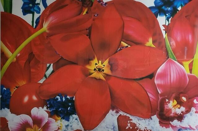 Young British Artists
MARC QUINN, Aludibond
LUMAS, ca. 120x180 cm
Slg Merkel | Foto: Quinn,Merkel, LUMAS