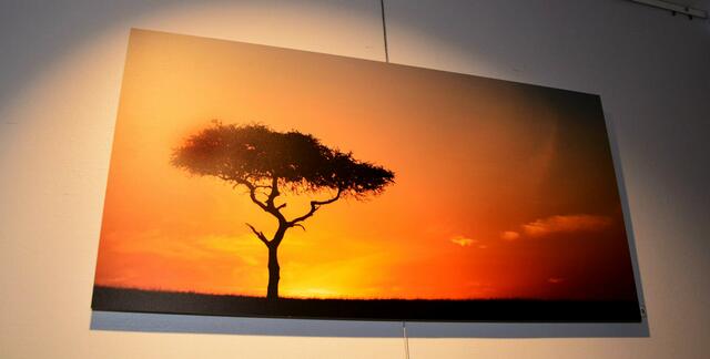 19 Sonnenaufgang Masai Mara, Kenia