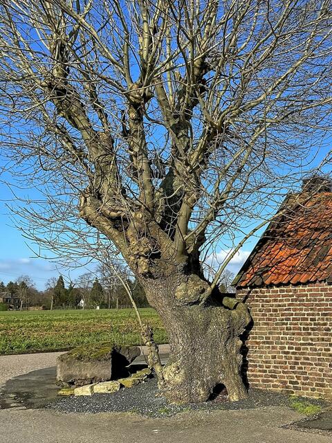 Am ehemaligen Backhaus | Foto: ©Margot Klütsch