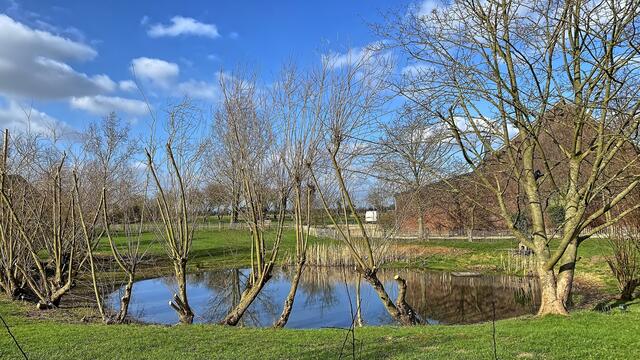 Foto: ©Margot Klütsch