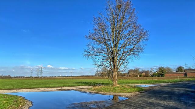 Foto: ©Margot Klütsch