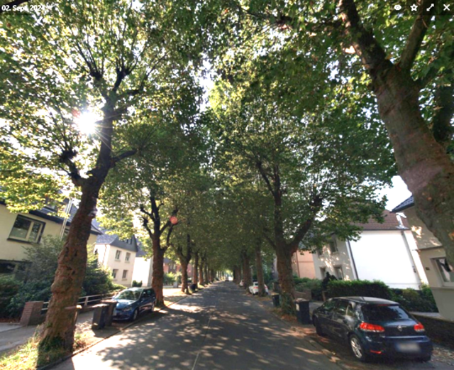 Die Platanen an der Otto-Hue-Straße werden beschnitten.

© Foto: Stadt Marl