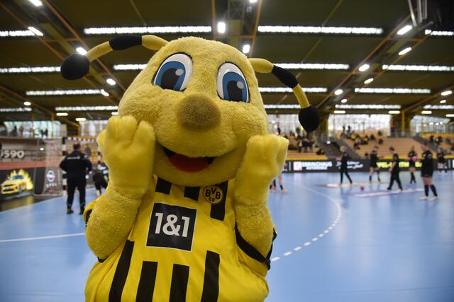 BVB - Maskottchen / 2023, Körnig-Halle | Foto: FotoArchiv Merkel und Merkel
