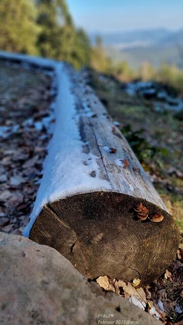 ...meine Art, ...irgendwie bisschen anderS zu sehen....