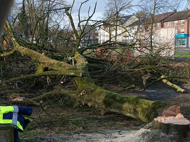 Foto: Foto: Christian Thieme 