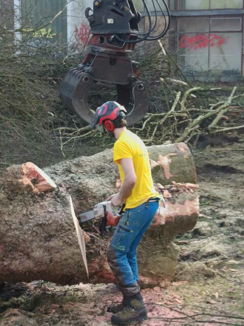 Foto: Foto: Christian Thieme 