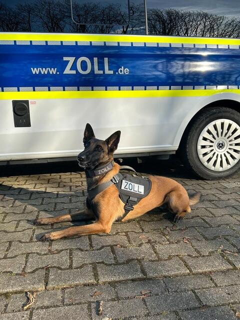 Foto: Foto: Zoll Duisburg 