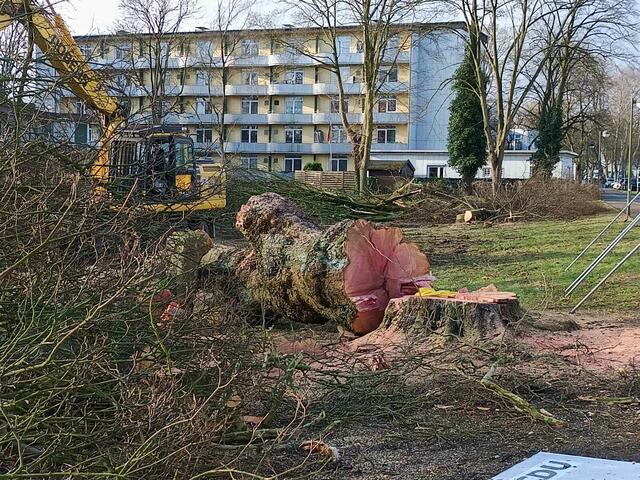 Foto: Foto: Christian Thieme 