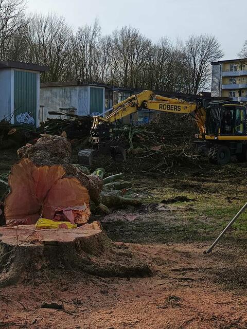 Foto: Foto: Christian Thieme 