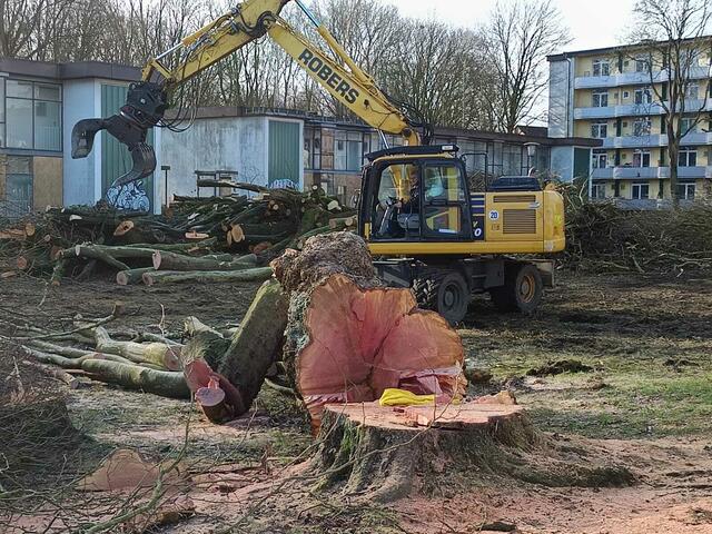 Foto: Foto: Christian Thieme 