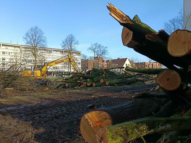 Foto: Foto: Christian Thieme 