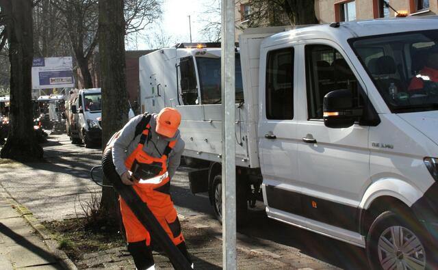 Foto: Reiner Terhorst