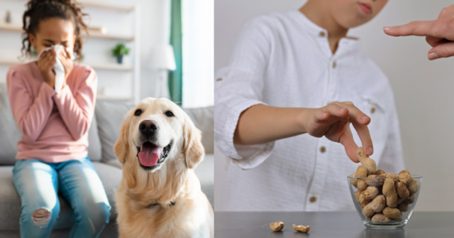 Zu sehen sind zwei einzelne Bilder nebeneinander. Auf dem linken Bild sieht man ein schwarzes Mädchen mit braunen Haaren, die sich auf einer grauen Couch die Nase putzt. Vor dem Mädchen sitzt ein Hund. Das rechte Bild zeigt ein Kind das in eine Schale Erdnüsse greift. Eine Hand zeigt mit dem Zeigefinger auf das Kind. 