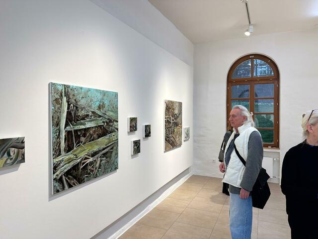 Fragile Strukturen von Liane Lonken in der Ausstellung "FRAGIL?" - Schlossgalerie Borbeck in Essen | Foto: Kunstverein und Kunstförderverein KKRR