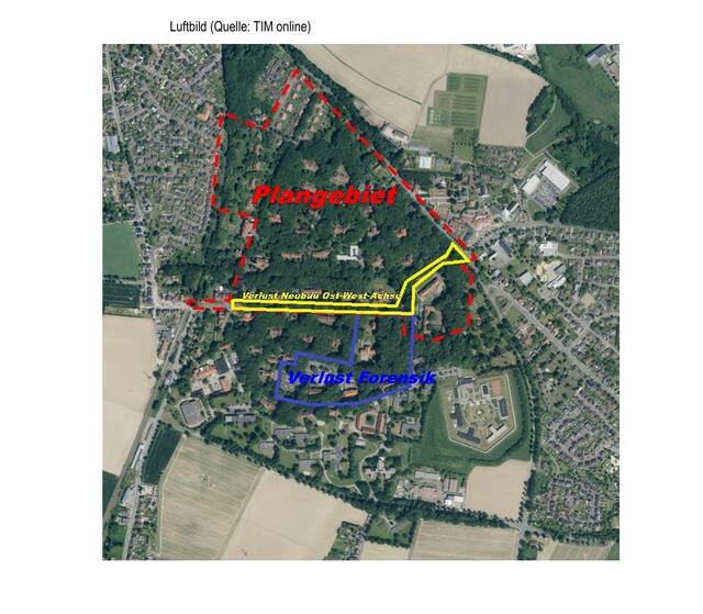 Klinikwald | Foto: erstellt mit TIMonlineNRW