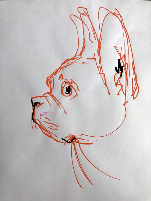 60 seconds  - alle 60 Sekunden neue Kunst