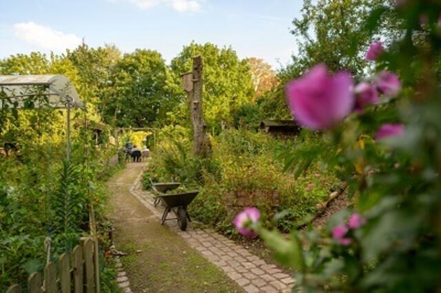 Urheber: Uwe Ernst
Copyright: VHS Mülheim an der Ruhr