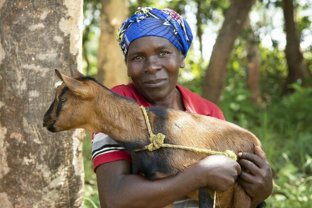 Schon eine Ziege kann das Leben der Familien in Malawi positiv verändern. Foto: Christian Nusch