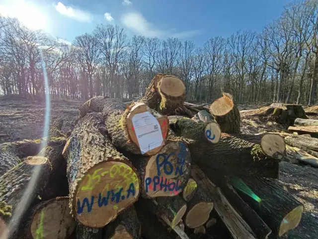 Foto: Foto: Christian Thieme 