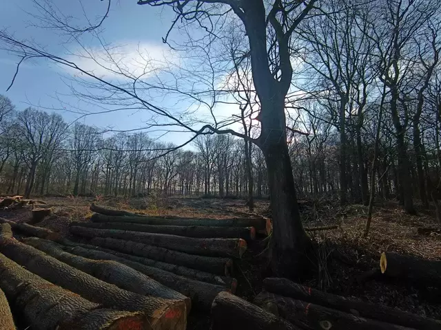 Foto: Foto: Christian Thieme 