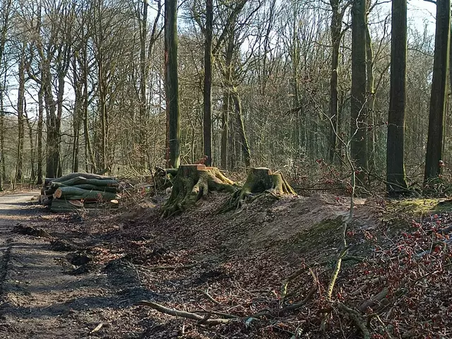 Foto: Foto: Christian Thieme 