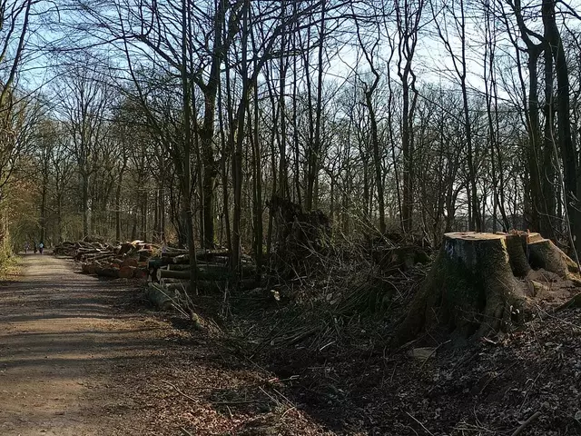 Foto: Foto: Christian Thieme 