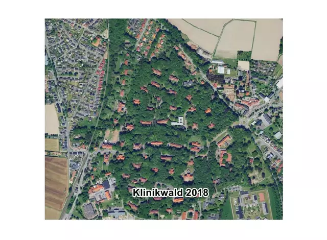 Ratsmitglied Gorißen beschreibt den Klinikwald als sehr wild gewachsen und verweist auf die Tatsache, dass die Bäume kaum Licht bekämen. (Niederschrift Rat 25.06.2020) | Foto: erstellt mit TIMonlineNRW GvM