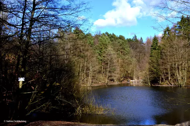 Die VHS lädt ein zum British Picnic am Hexenteich in Menden. 