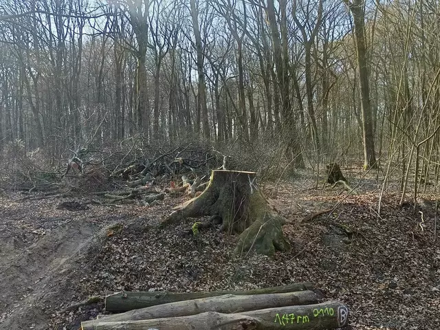 Foto: Foto: Christian Thieme 