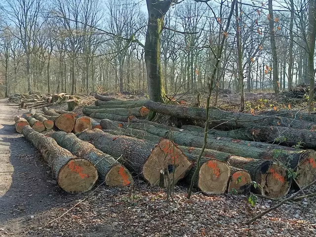 Foto: Foto: Christian Thieme 