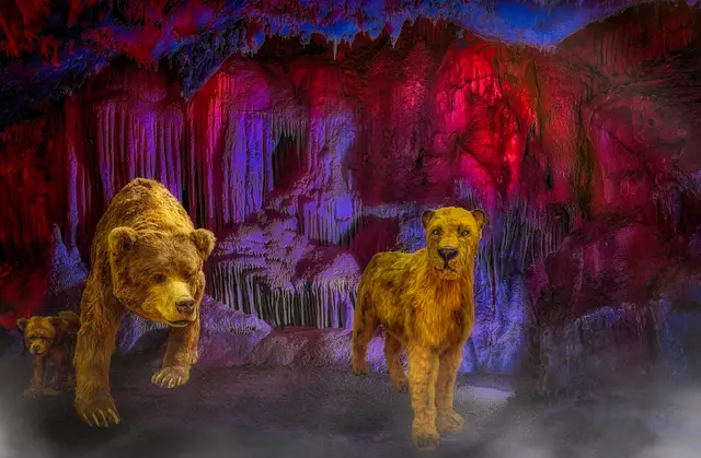 Collage: Museum-Höhlenlöwe-Höhlenbären-Dechenhöhle.